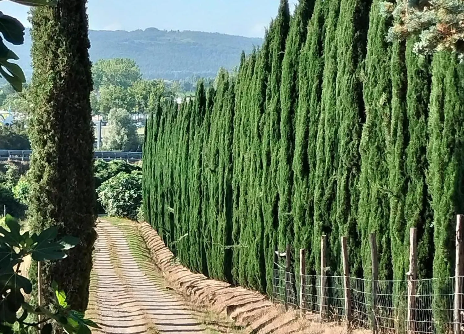 Camugnano Farm Villa Rapolano Terme