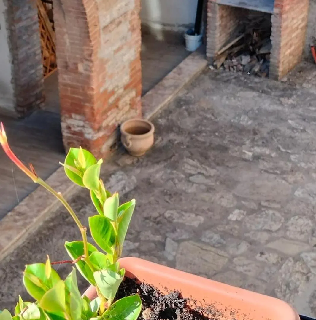 Farm stay Camugnano Farm Villa Rapolano Terme Italy